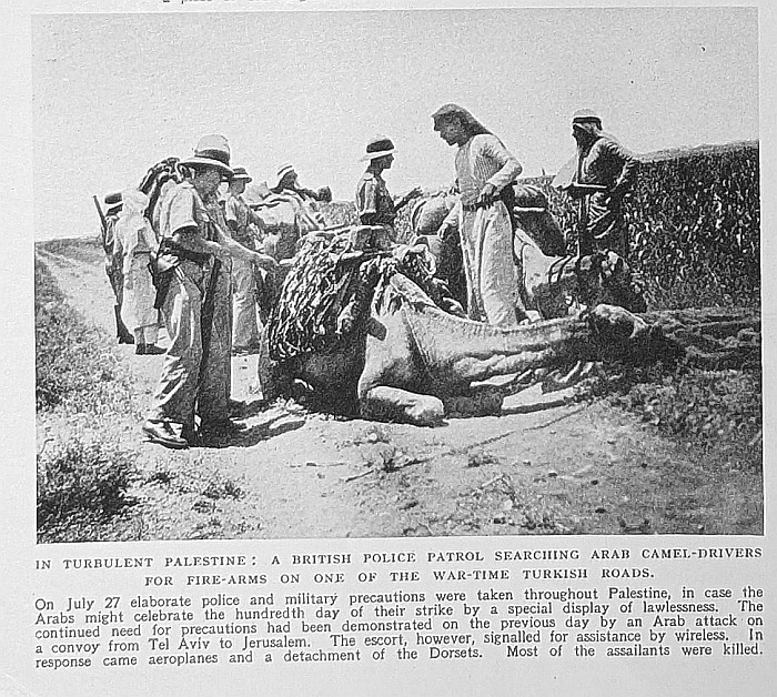 August 1st Police Searching a camel